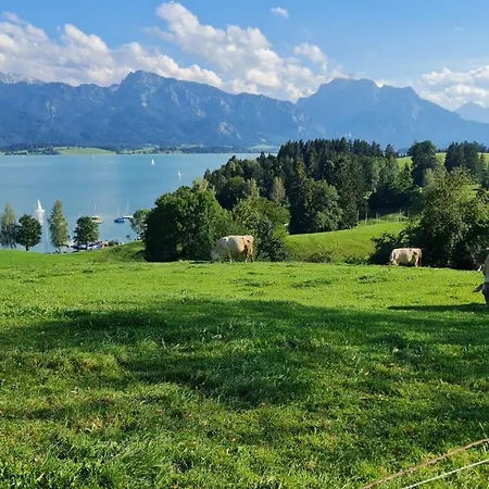 Young & Smart-apartment Inkl Koenigscard In Allgaeu Nahe Neuschwanstein *