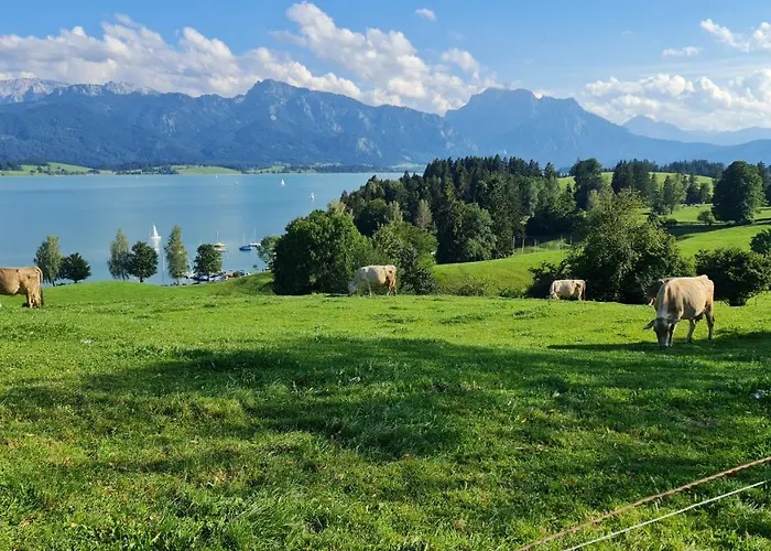 Young & Smart-apartment Inkl Koenigscard In Allgaeu Nahe Neuschwanstein *